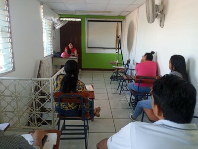 DIC-N290-IMG02