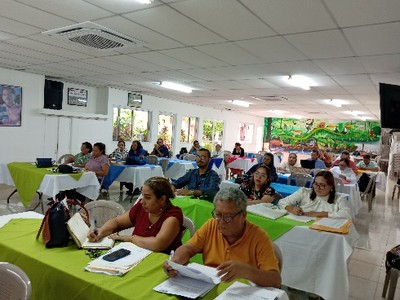 SEP-N196-IMG3