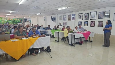 SEP-N196-IMG5