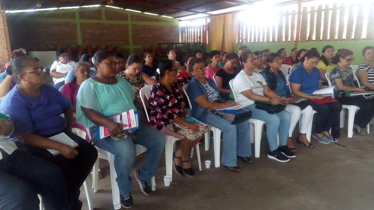 NOTA 44 - 2019