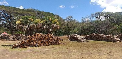MAR-N43-IMG04