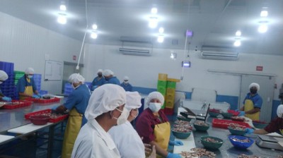 JUL-N103-IMG2
