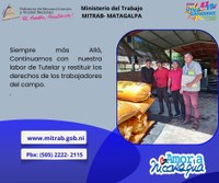 NOTA DE PRENSA