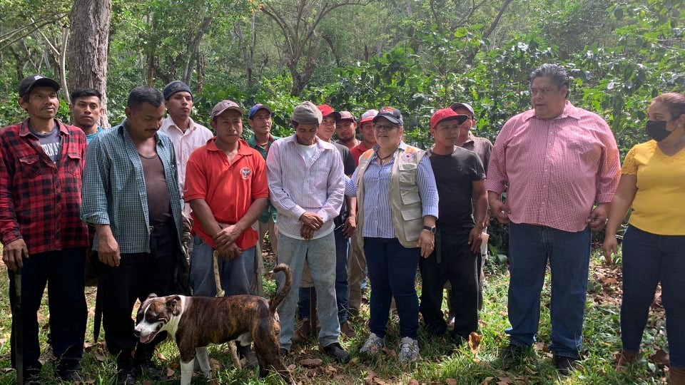 NOTA 08-2022