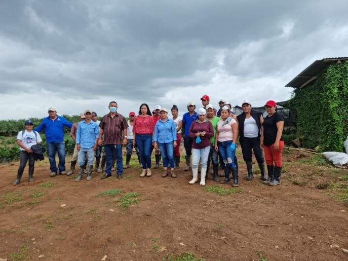 NOTA 69-2022